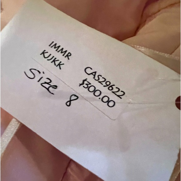 NWT CASSANDRA STONE SILK PINK DRESS W/ LACE OVERLAY DETAILS & BEADS HALTER TOP - Picture 10 of 11